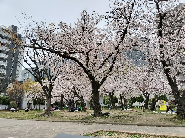 f:id:takechan5580:20230331133330j:image