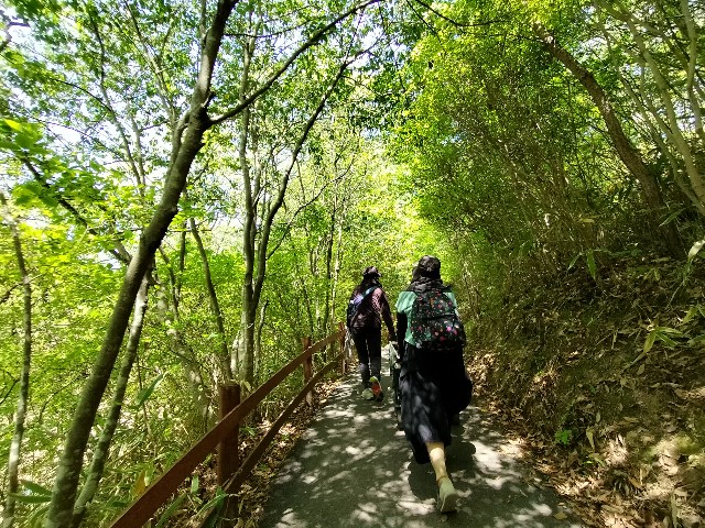 f:id:takechan5580:20230504220643j:image