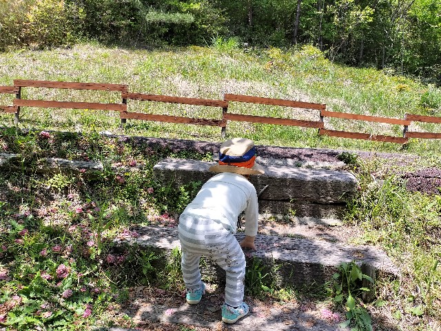 f:id:takechan5580:20230504221313j:image