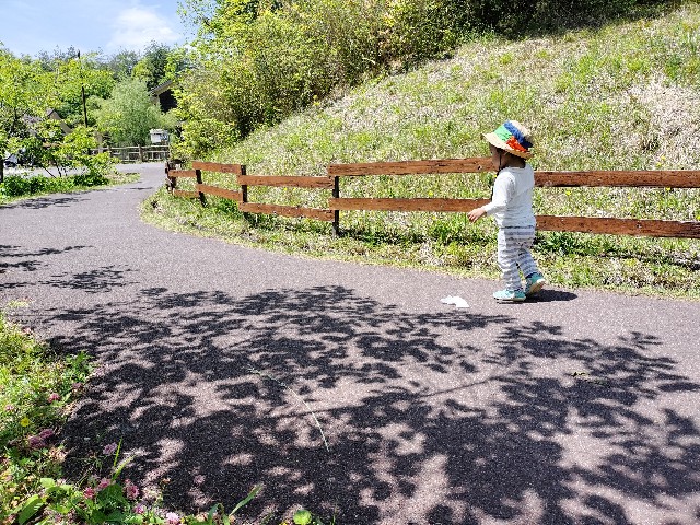 f:id:takechan5580:20230504221350j:image