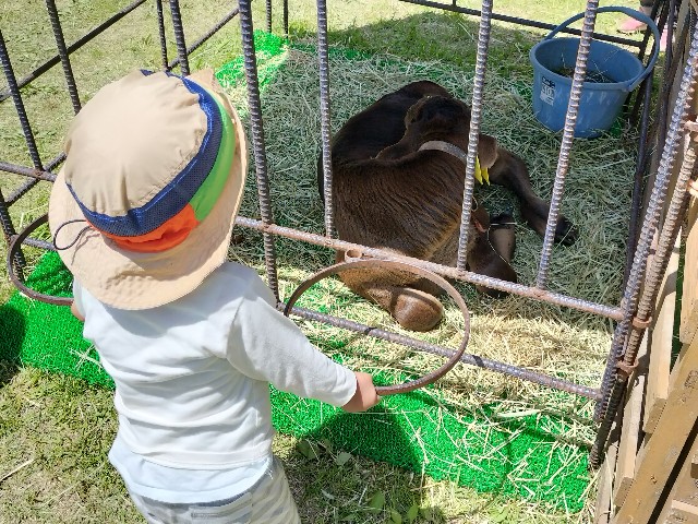 f:id:takechan5580:20230504221413j:image