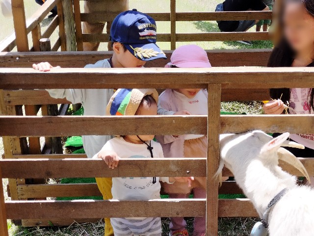 f:id:takechan5580:20230504221835j:image