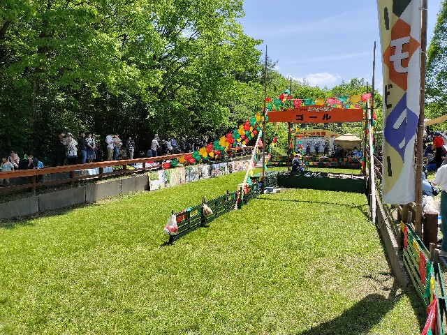 f:id:takechan5580:20230504222318j:image