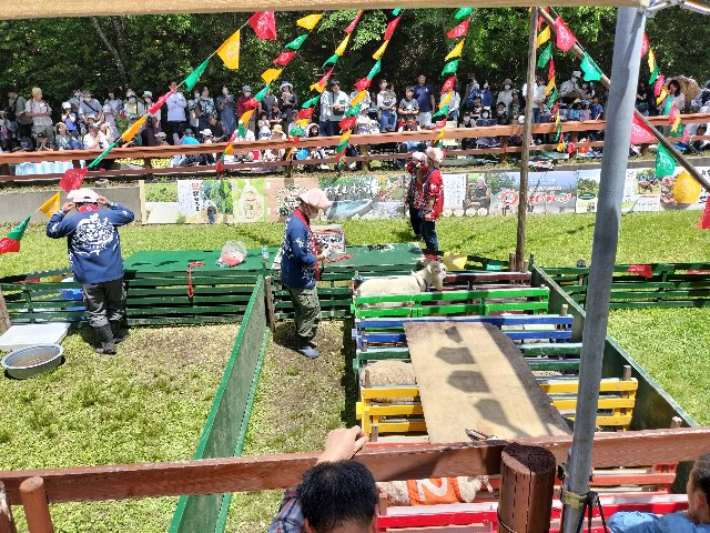 f:id:takechan5580:20230504222346j:image