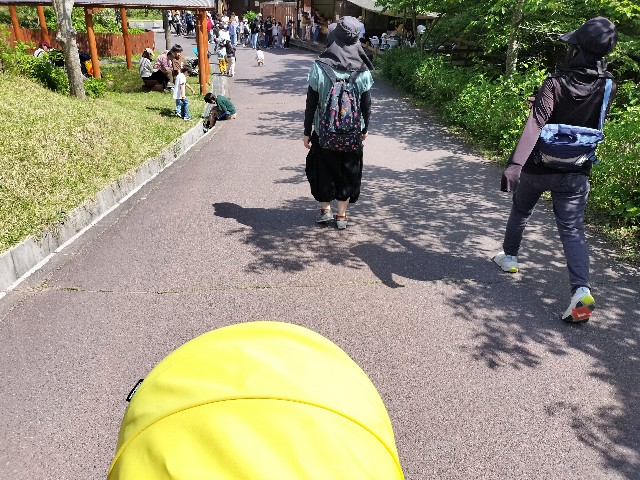 f:id:takechan5580:20230504224045j:image