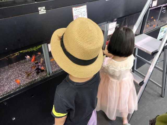 f:id:takechan5580:20230806135243j:image