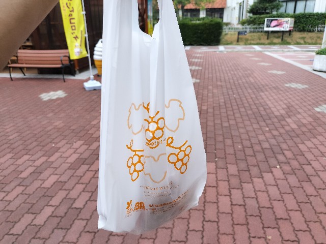 f:id:takechan5580:20230817074109j:image