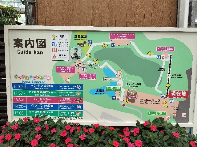 f:id:takechan5580:20230817074211j:image