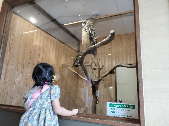 f:id:takechan5580:20230817074247j:image