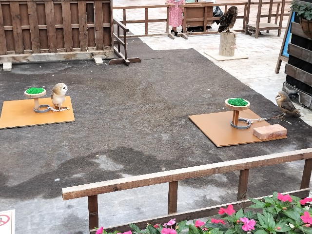 f:id:takechan5580:20230817074427j:image
