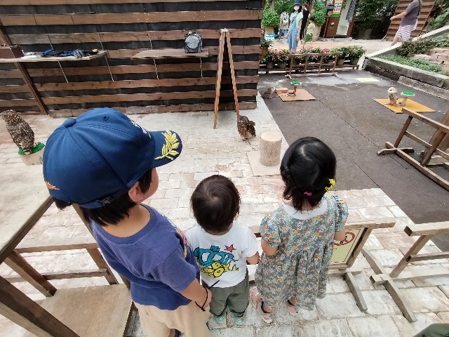 f:id:takechan5580:20230817074443j:image