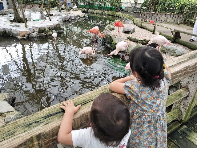 f:id:takechan5580:20230817074657j:image
