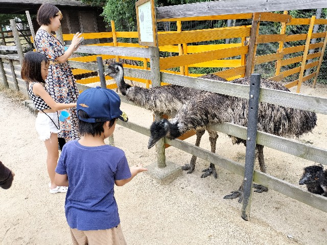 f:id:takechan5580:20230817074804j:image