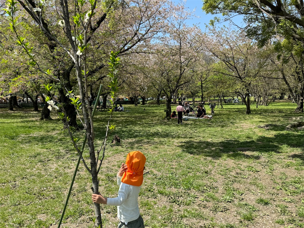 f:id:takechan5580:20240414111030j:image f:id:takechan5580:20240414111030j:image