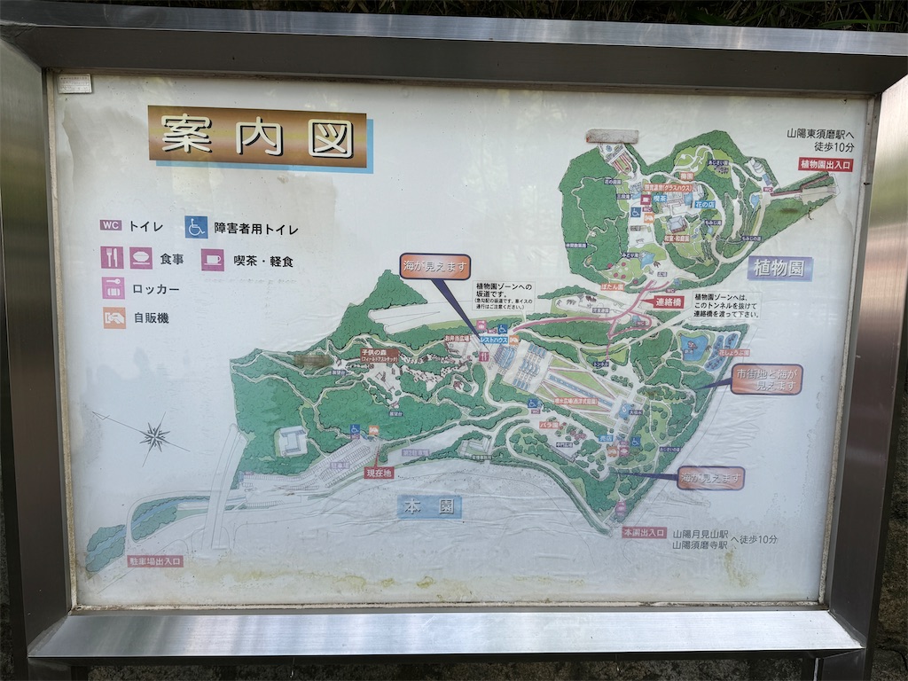 f:id:takechan5580:20240603202406j:image
