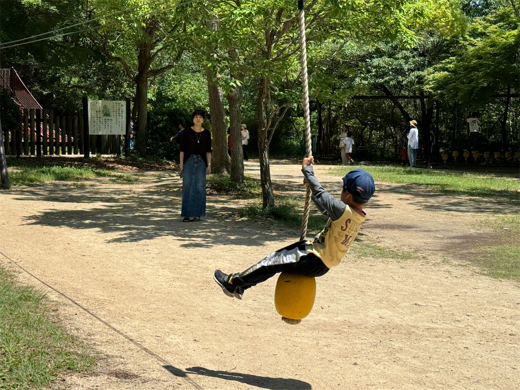 f:id:takechan5580:20240603202433j:image