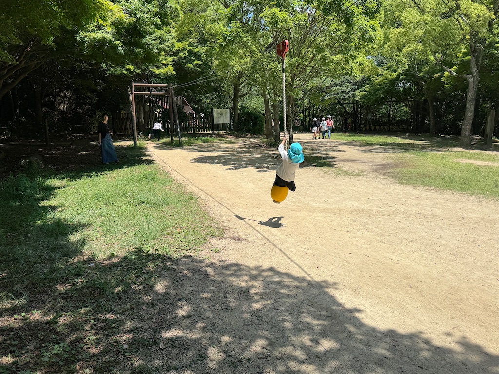 f:id:takechan5580:20240603202448j:image