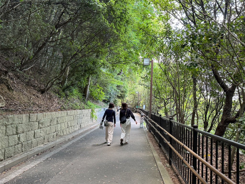 f:id:takechan5580:20240603202518j:image