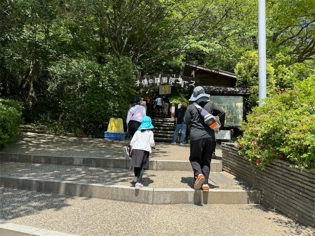 f:id:takechan5580:20240603202526j:image