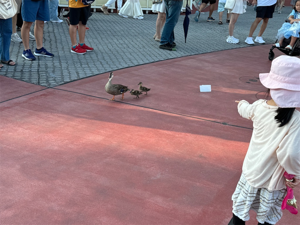 f:id:takechan5580:20240815103504j:image f:id:takechan5580:20240815103504j:image