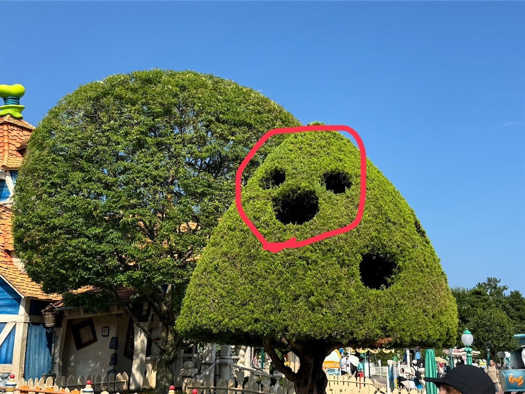 f:id:takechan5580:20240815105201j:image f:id:takechan5580:20240815105201j:image