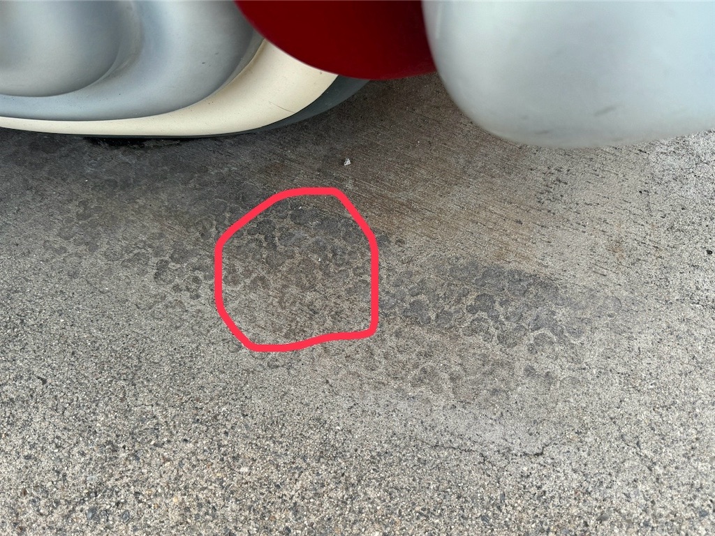 f:id:takechan5580:20240815105226j:image f:id:takechan5580:20240815105226j:image