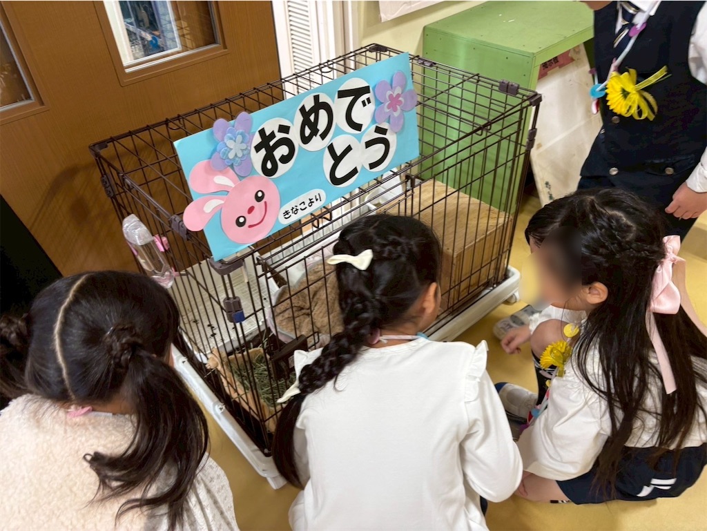 f:id:takechan5580:20260320144919j:image f:id:takechan5580:20260320144919j:image