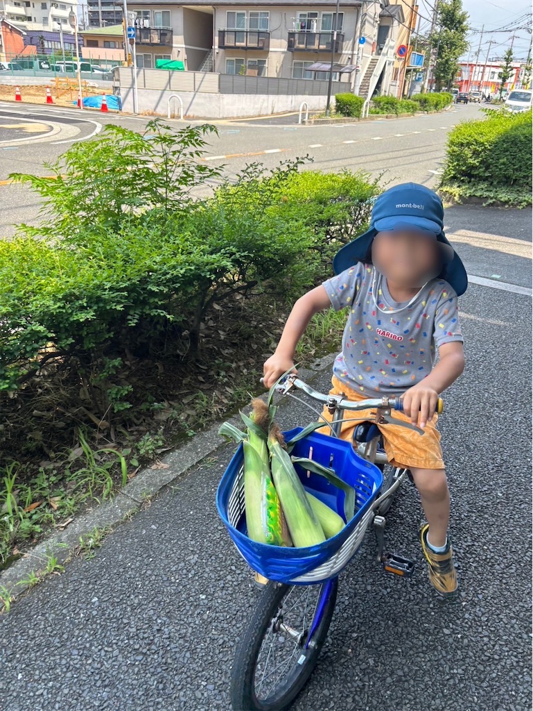 f:id:takechan5580:20260719130202j:image f:id:takechan5580:20260719130202j:image