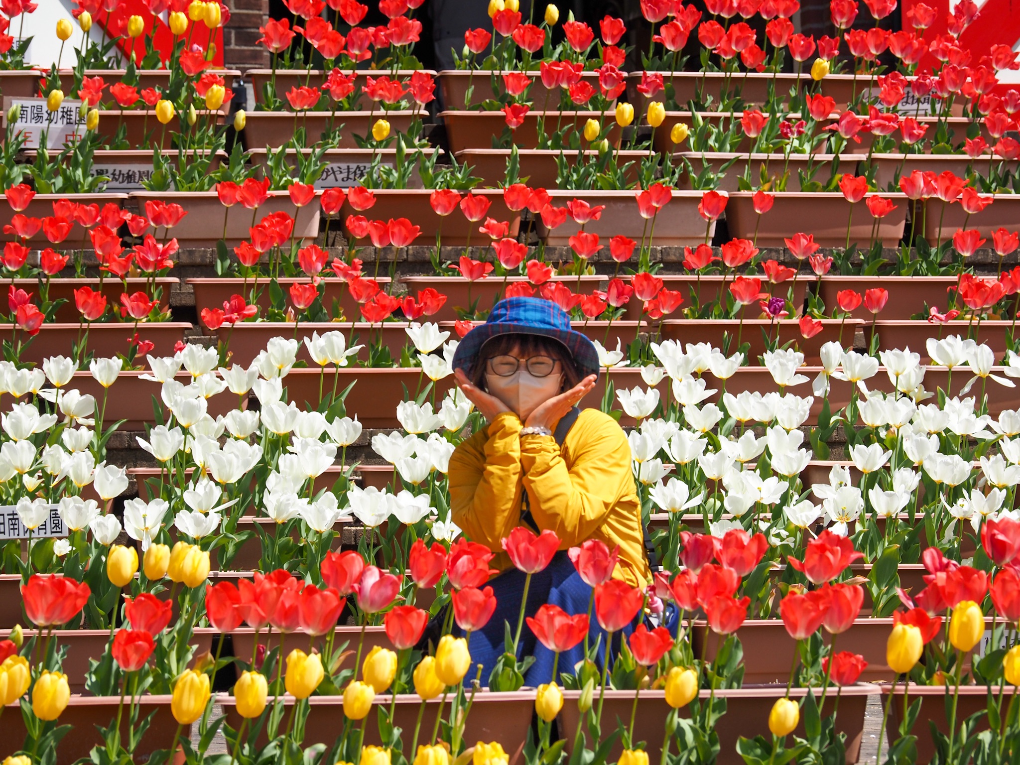 f:id:takechan704:20220420190336j:image f:id:takechan704:20220420190336j:image