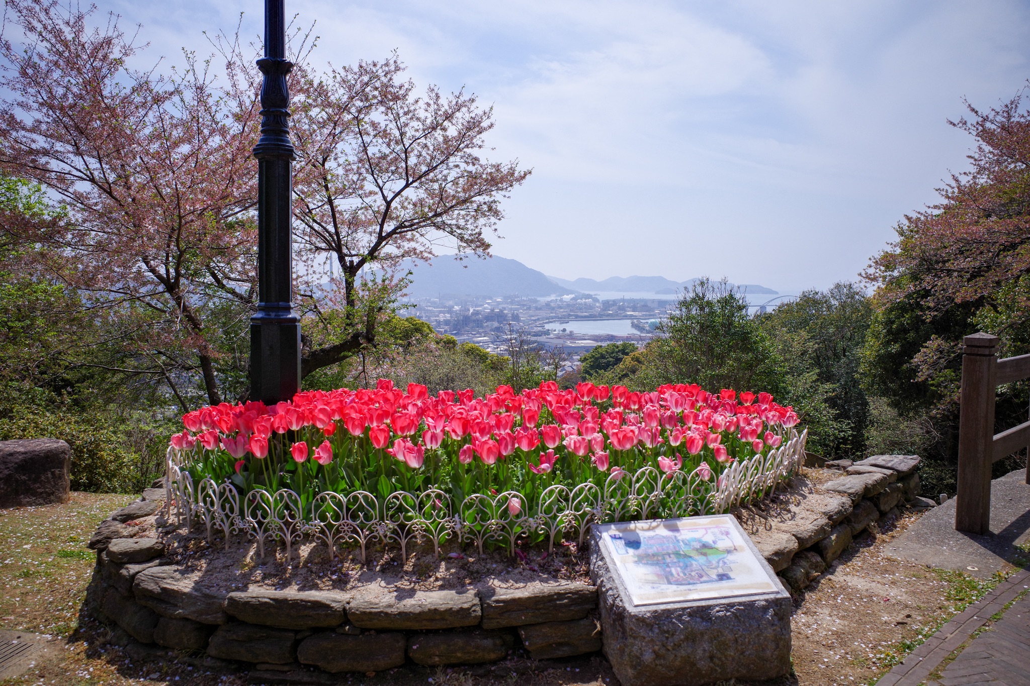 f:id:takechan704:20220420190340j:image f:id:takechan704:20220420190340j:image