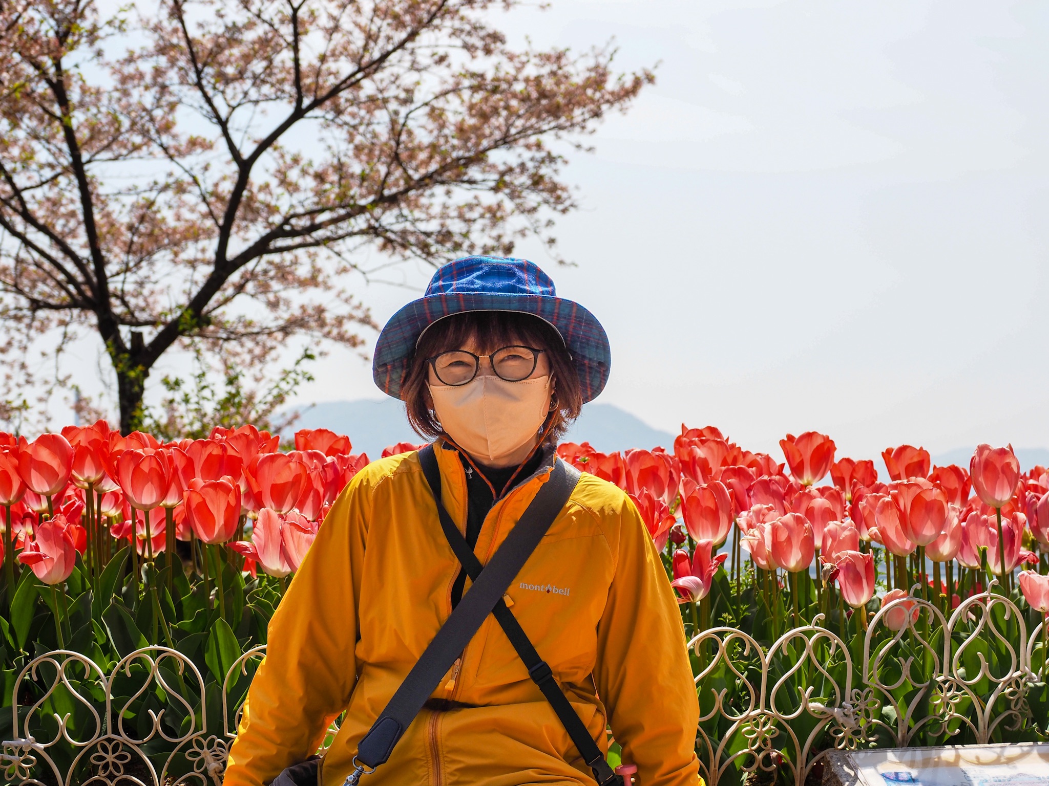 f:id:takechan704:20220420190345j:image f:id:takechan704:20220420190345j:image