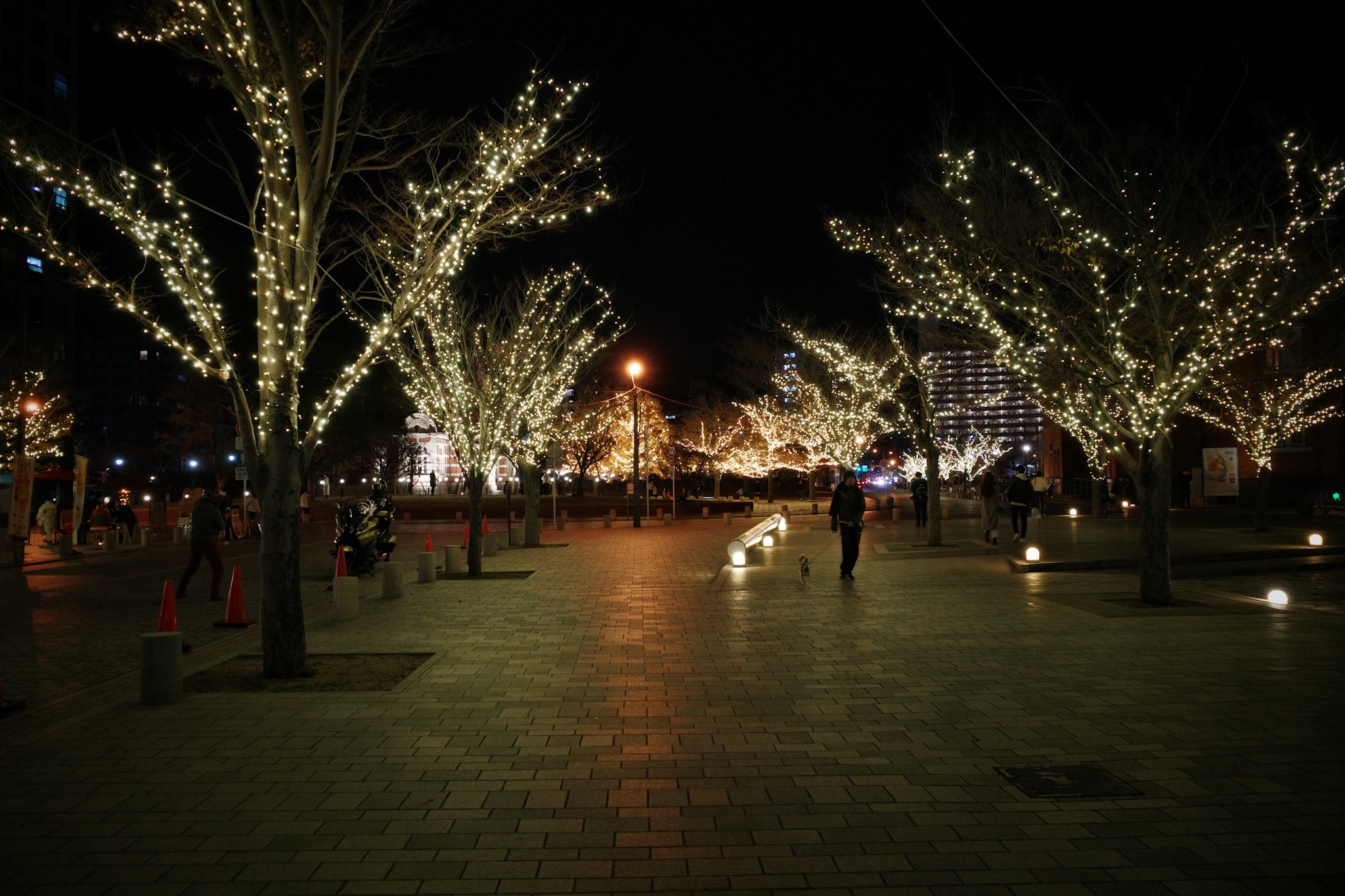 f:id:takechan704:20221211111820j:image f:id:takechan704:20221211111820j:image