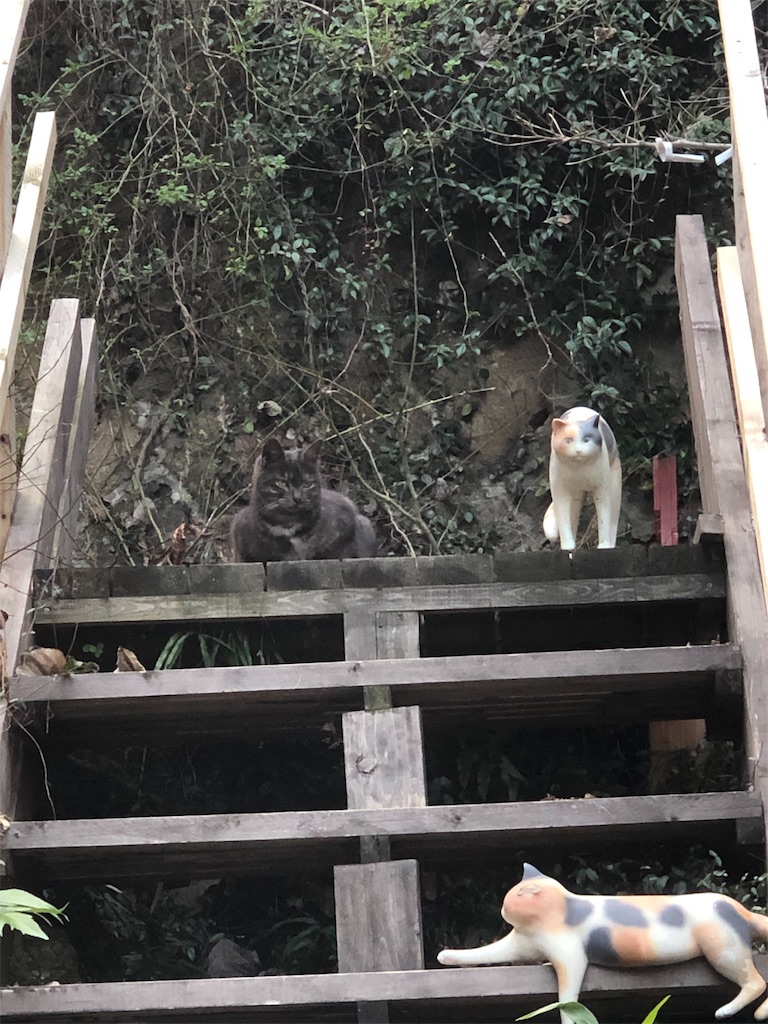 f:id:takechanff:20190207211651j:image f:id:takechanff:20190207211651j:image