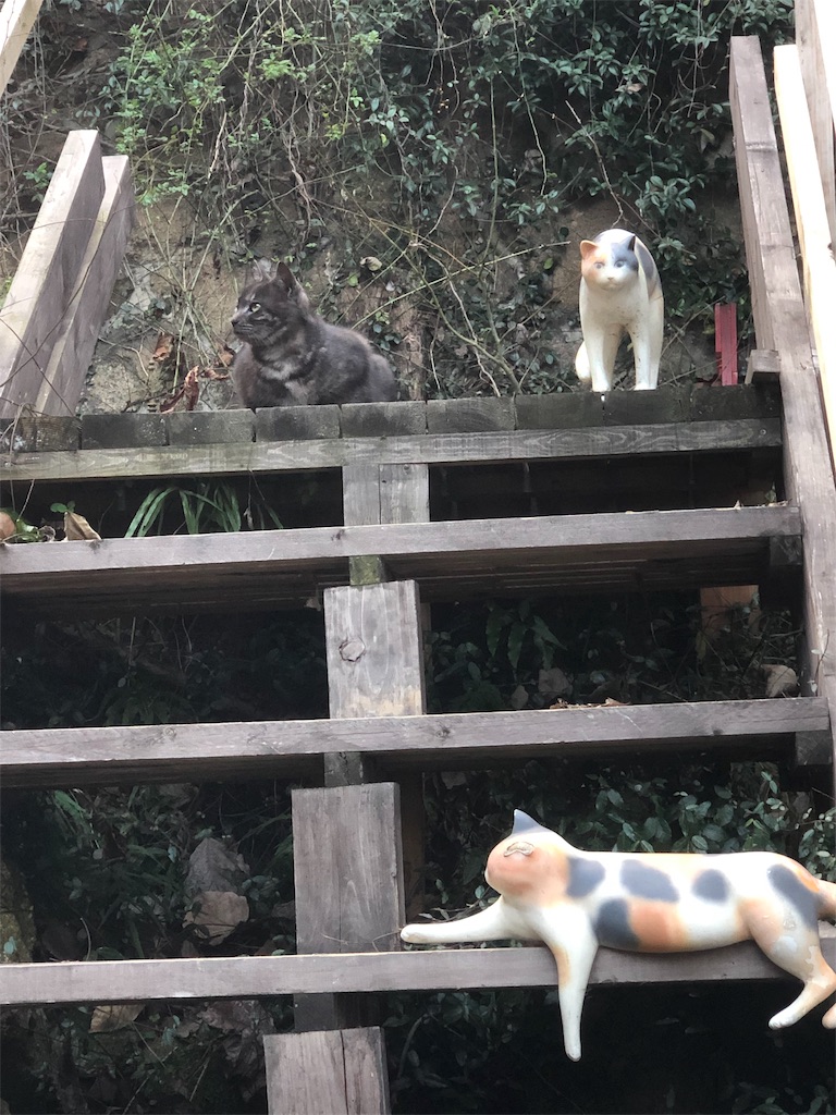 f:id:takechanff:20190207211656j:image f:id:takechanff:20190207211656j:image
