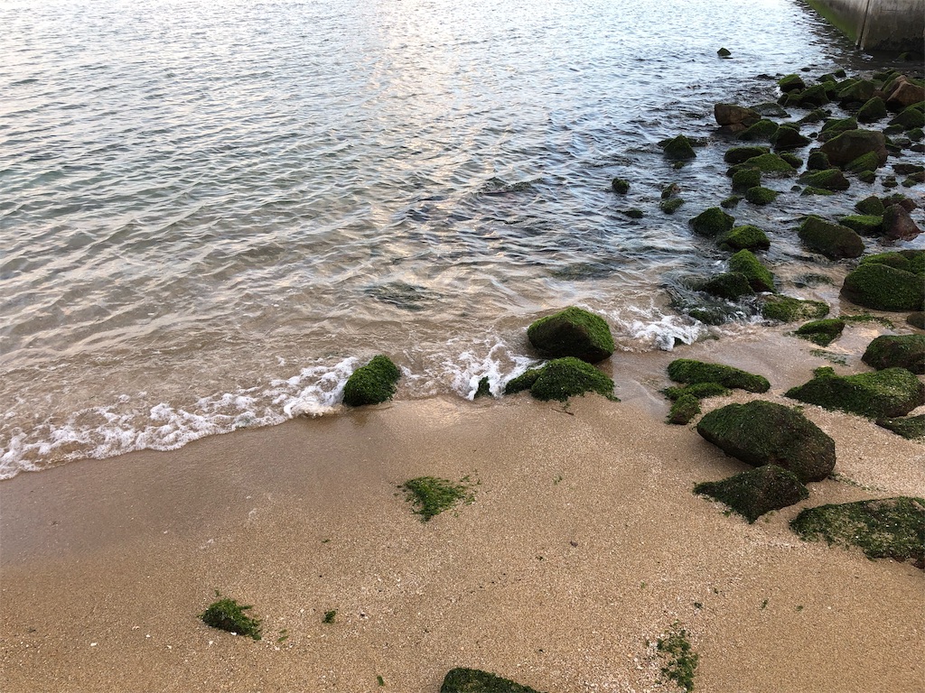f:id:takechanff:20190214202550j:image f:id:takechanff:20190214202550j:image