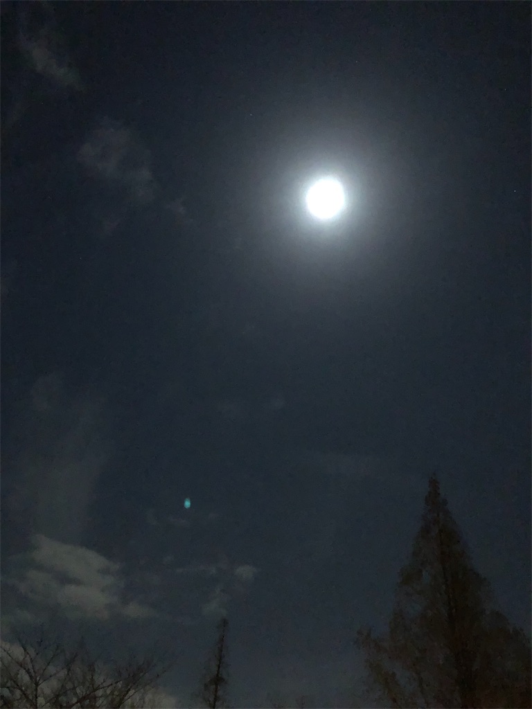 f:id:takechanff:20190221103902j:image f:id:takechanff:20190221103902j:image