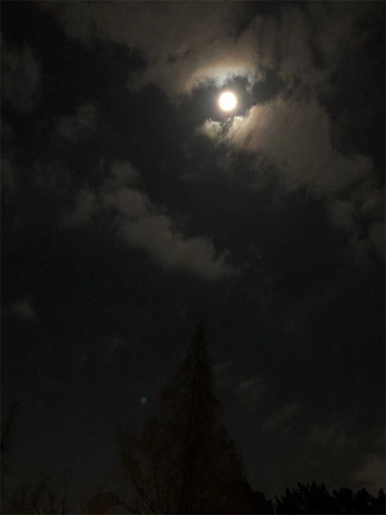 f:id:takechanff:20190221103906j:image f:id:takechanff:20190221103906j:image