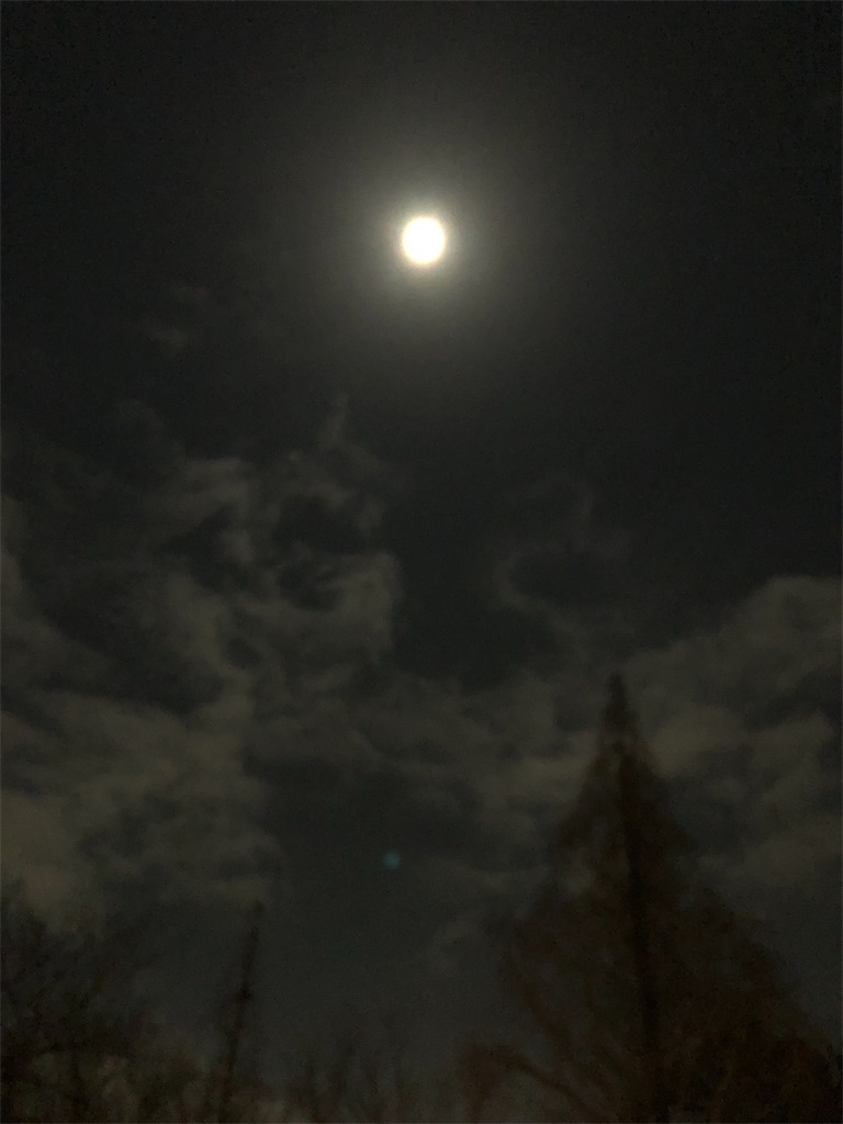 f:id:takechanff:20190221103910j:image f:id:takechanff:20190221103910j:image