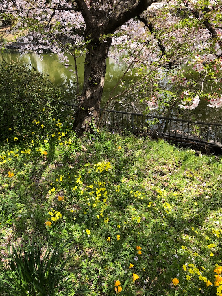 f:id:takechanff:20190418045107j:image f:id:takechanff:20190418045107j:image