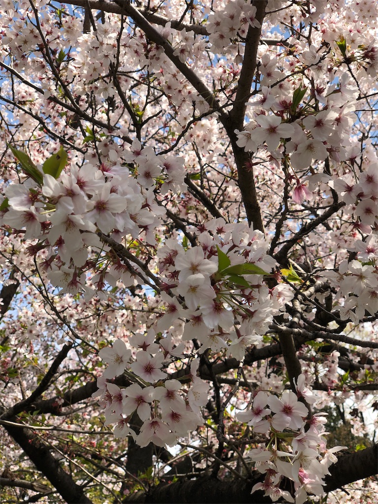 f:id:takechanff:20190418045110j:image f:id:takechanff:20190418045110j:image