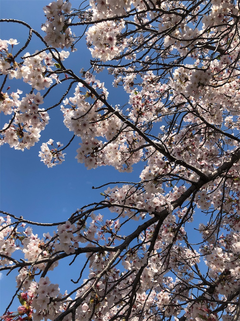 f:id:takechanff:20190418045115j:image f:id:takechanff:20190418045115j:image