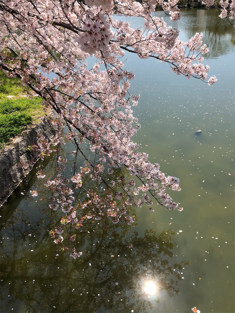 f:id:takechanff:20190418045119j:image f:id:takechanff:20190418045119j:image