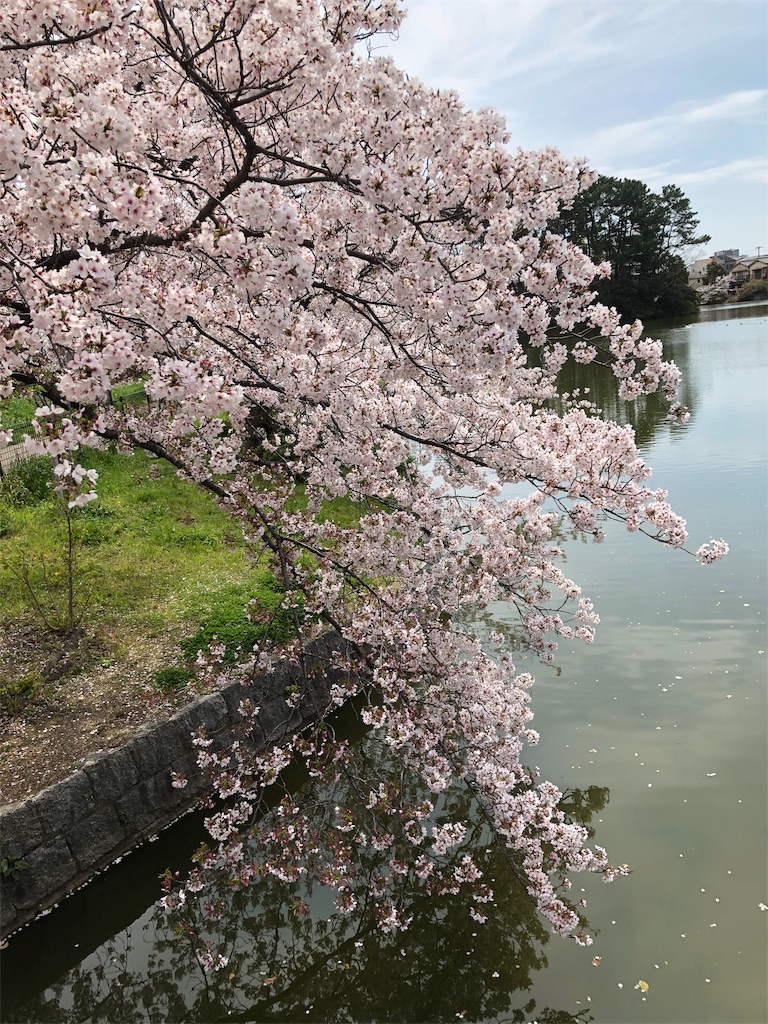 f:id:takechanff:20190418045123j:image f:id:takechanff:20190418045123j:image