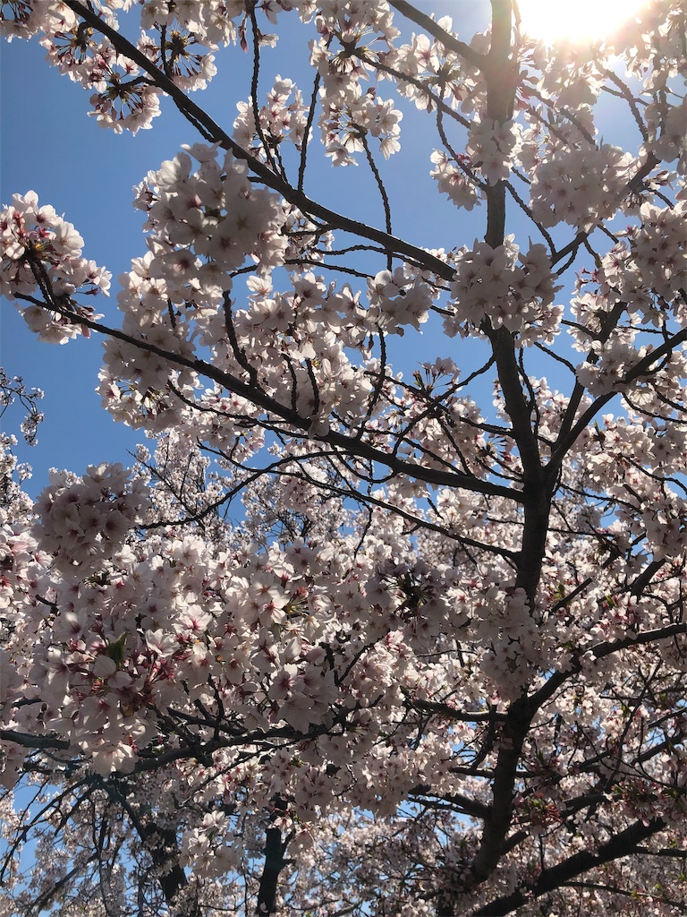 f:id:takechanff:20190418045127j:image f:id:takechanff:20190418045127j:image