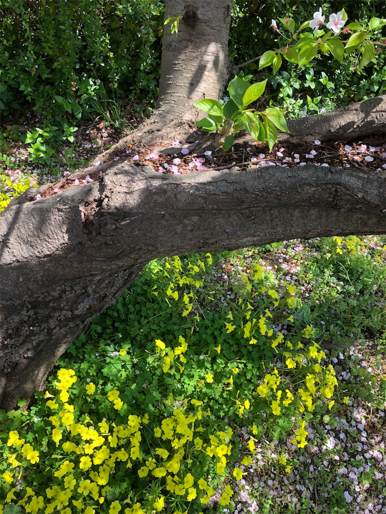 f:id:takechanff:20190418045130j:image f:id:takechanff:20190418045130j:image