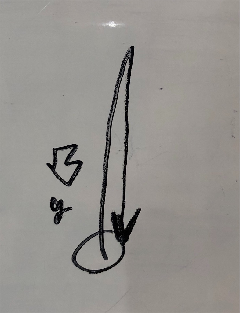 f:id:takechannelnel:20190513104949j:image