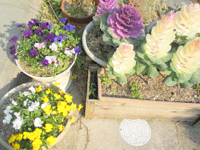 f:id:takeda-kyouko:20120401230800j:image f:id:takeda-kyouko:20120401230800j:image