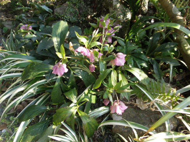 f:id:takeda-kyouko:20120401230804j:image f:id:takeda-kyouko:20120401230804j:image