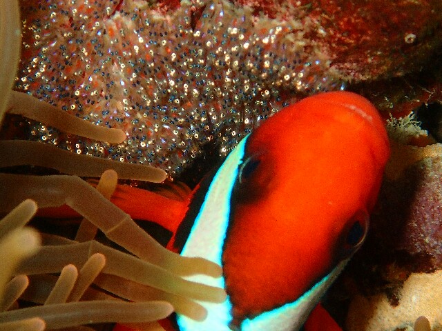 f:id:takedive1988:20200712104229j:image