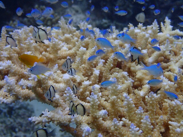 f:id:takedive1988:20200714134703j:image